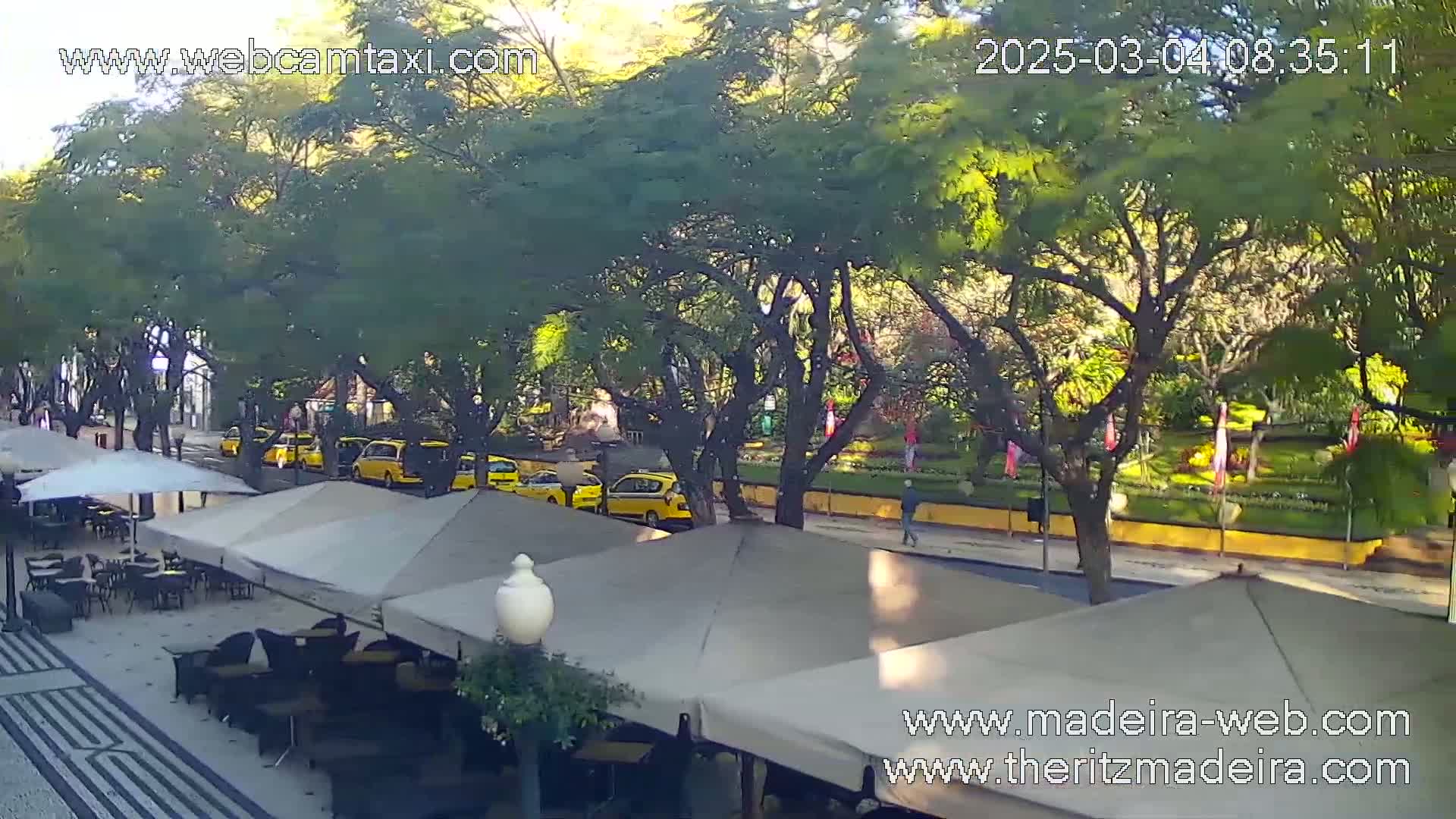 A sunny outdoor scene shows a row of yellow taxis parked along a street lined with trees and outdoor cafe seating under umbrellas.