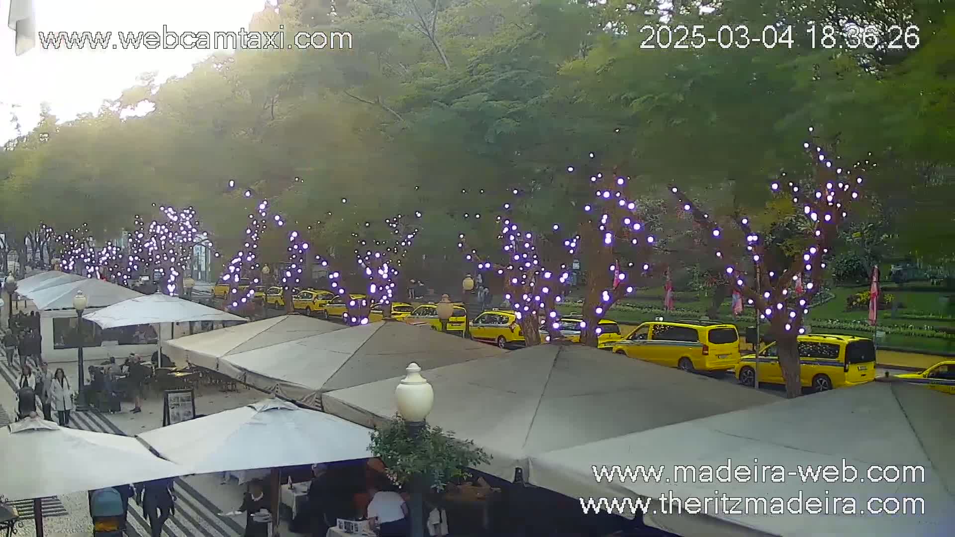 A row of yellow taxis is parked along a tree-lined street with outdoor café umbrellas and string lights on the trees under a partly cloudy sky.