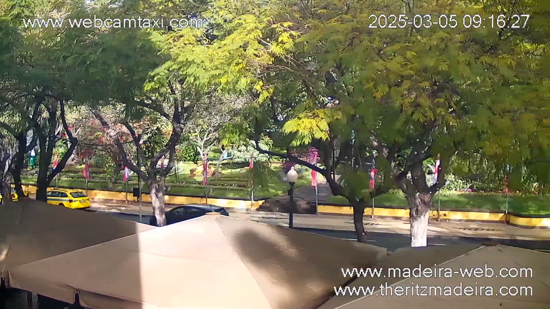 A sunny view of a street scene shows a yellow car and other vehicles driving past a park with lush green trees and flowering plants, partially obscured by patio umbrellas.