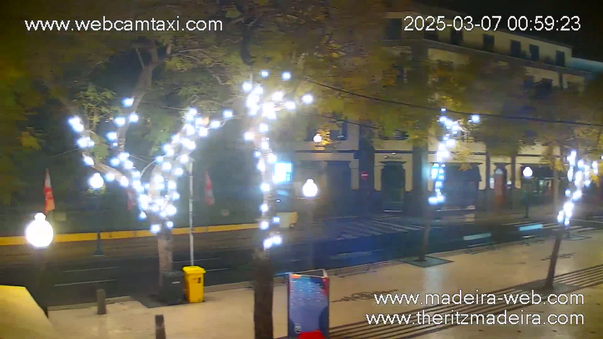 A nighttime street scene shows a wet pavement with trees decorated with white lights, and a building across the street.