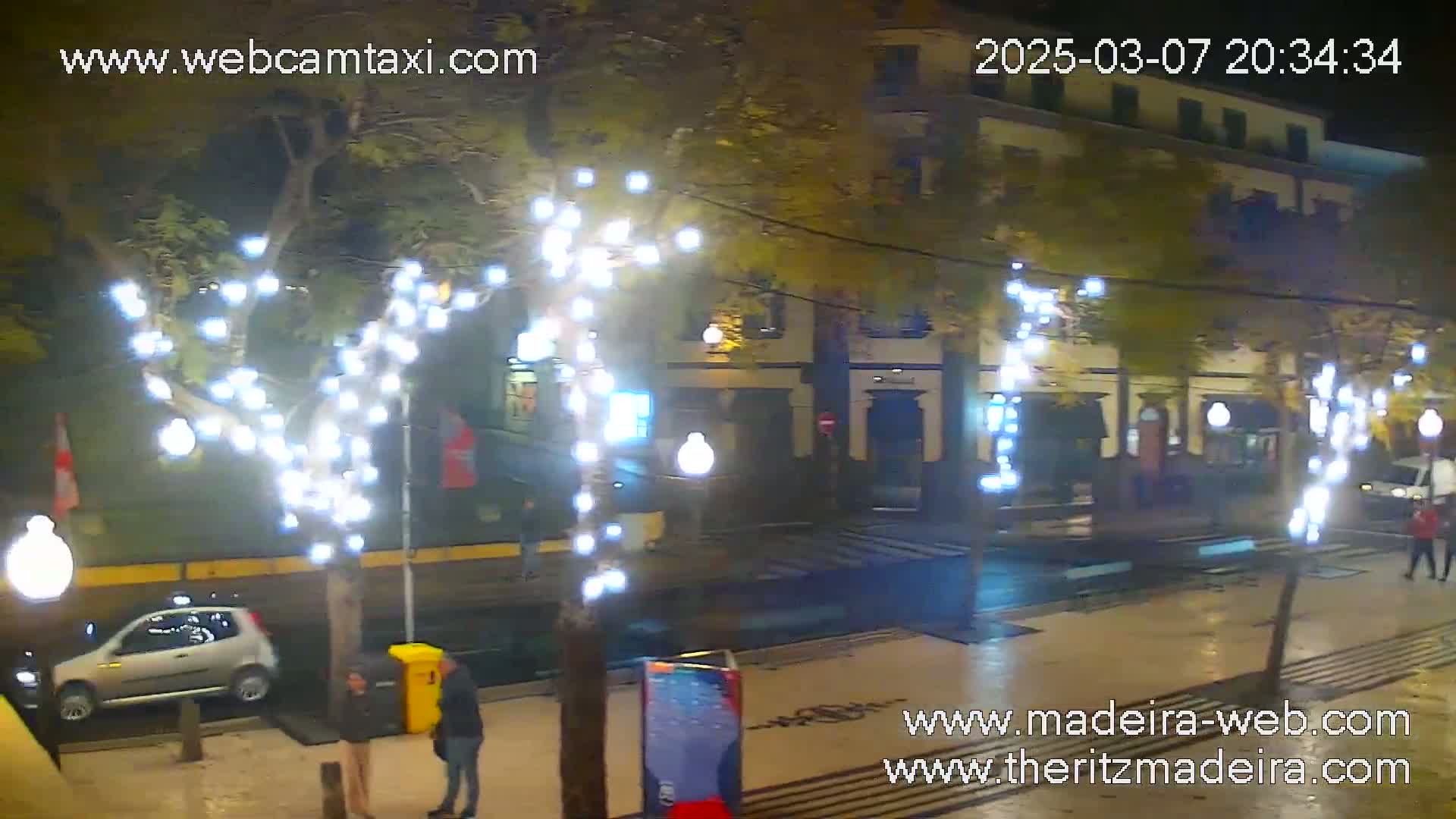 A nighttime street scene shows a wet street with cars parked along the side, pedestrians walking, and trees decorated with white string lights.