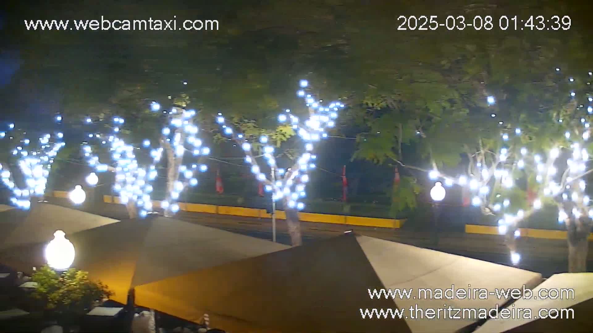 At night, several trees decorated with white string lights stand in front of outdoor patio seating under beige umbrellas.