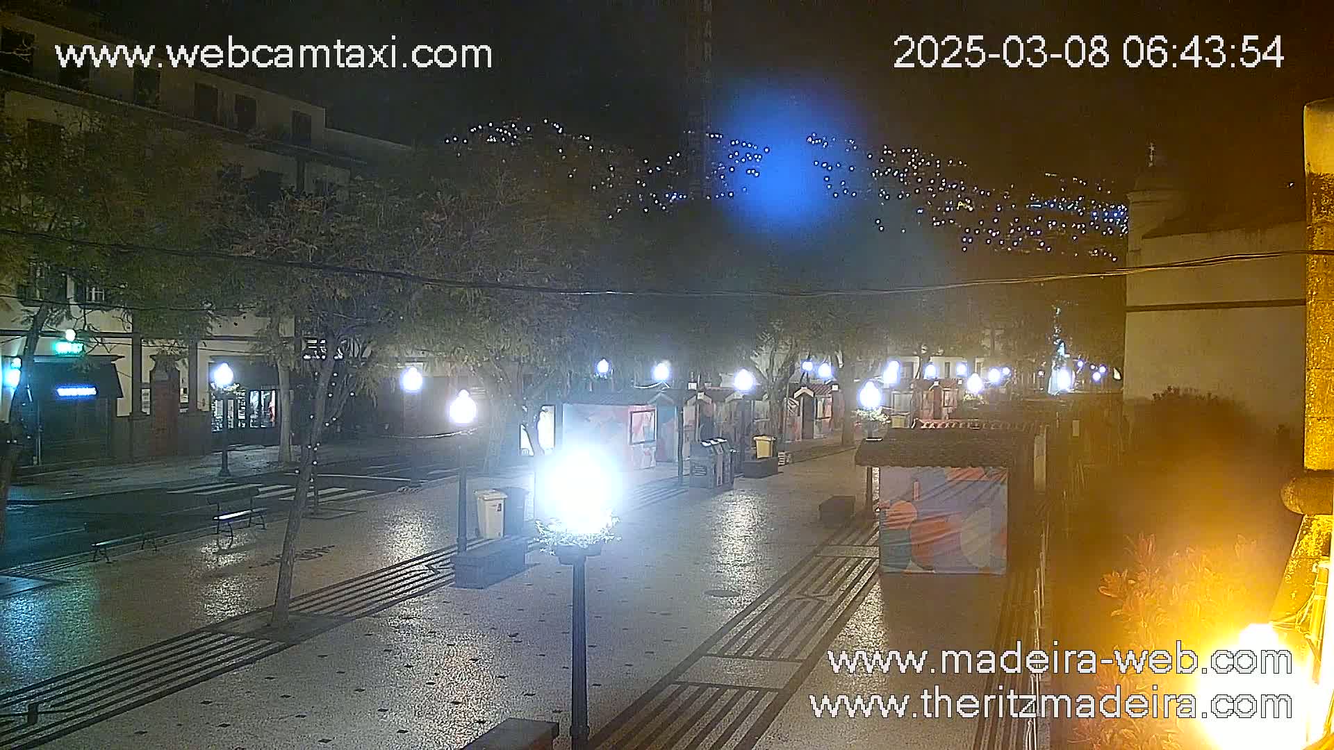 A nighttime view of a paved pedestrian street lined with trees, streetlights, and small buildings, under a clear sky.