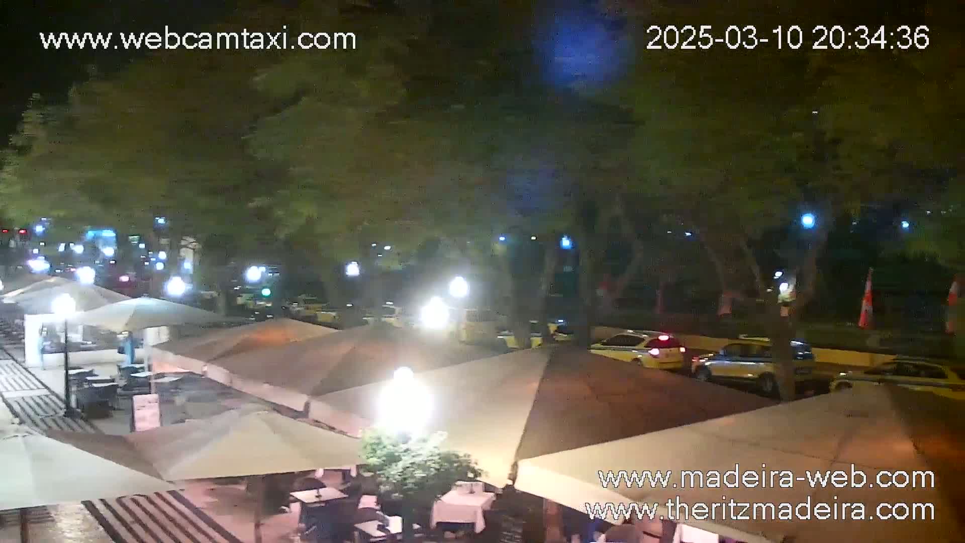 A nighttime view of an outdoor café with several occupied tables under umbrellas, situated next to a street with cars and trees overhead.
