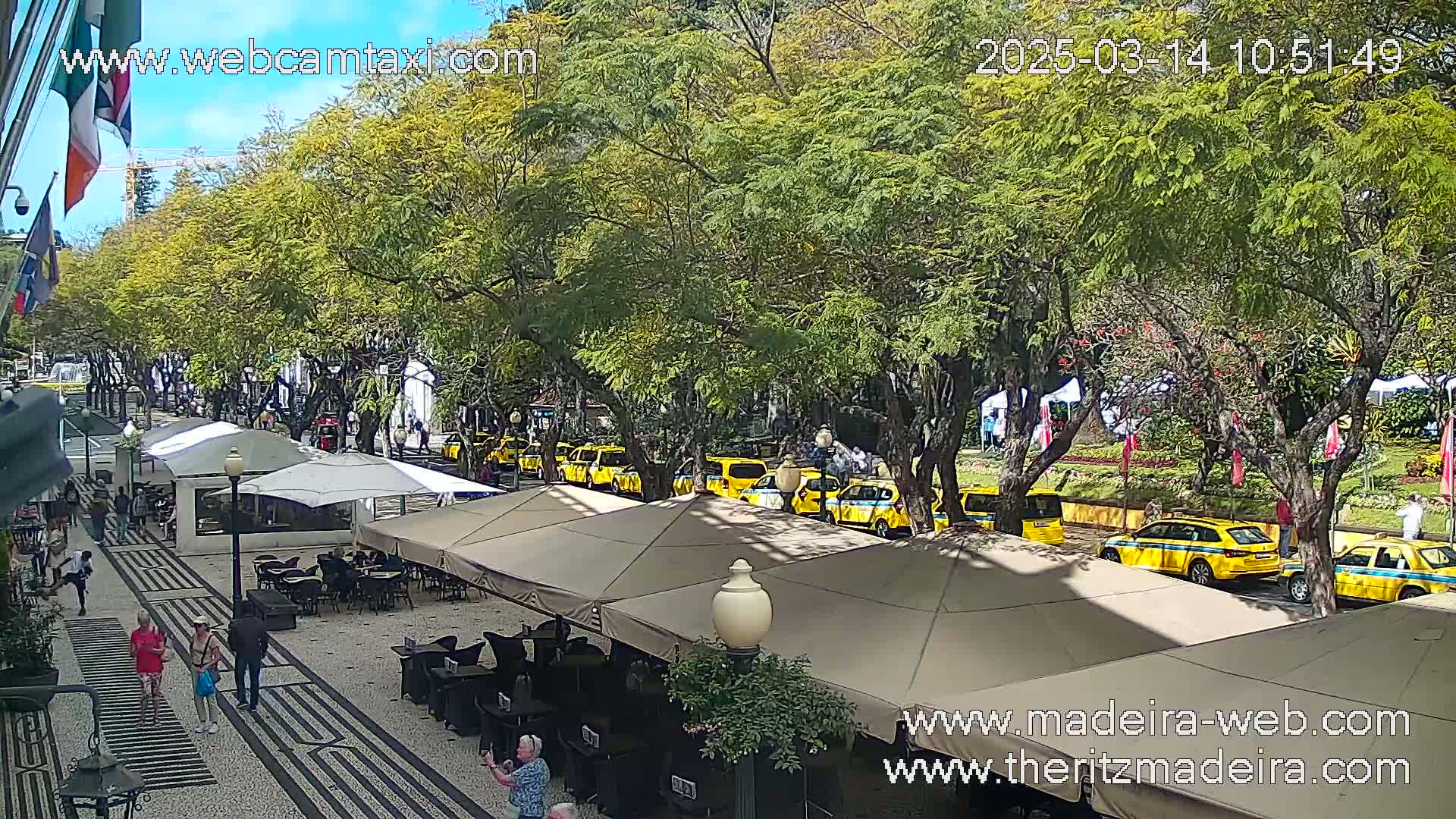 A sunny outdoor scene shows a city street lined with trees, yellow taxis parked along the curb, and outdoor seating areas with people strolling and sitting at tables.