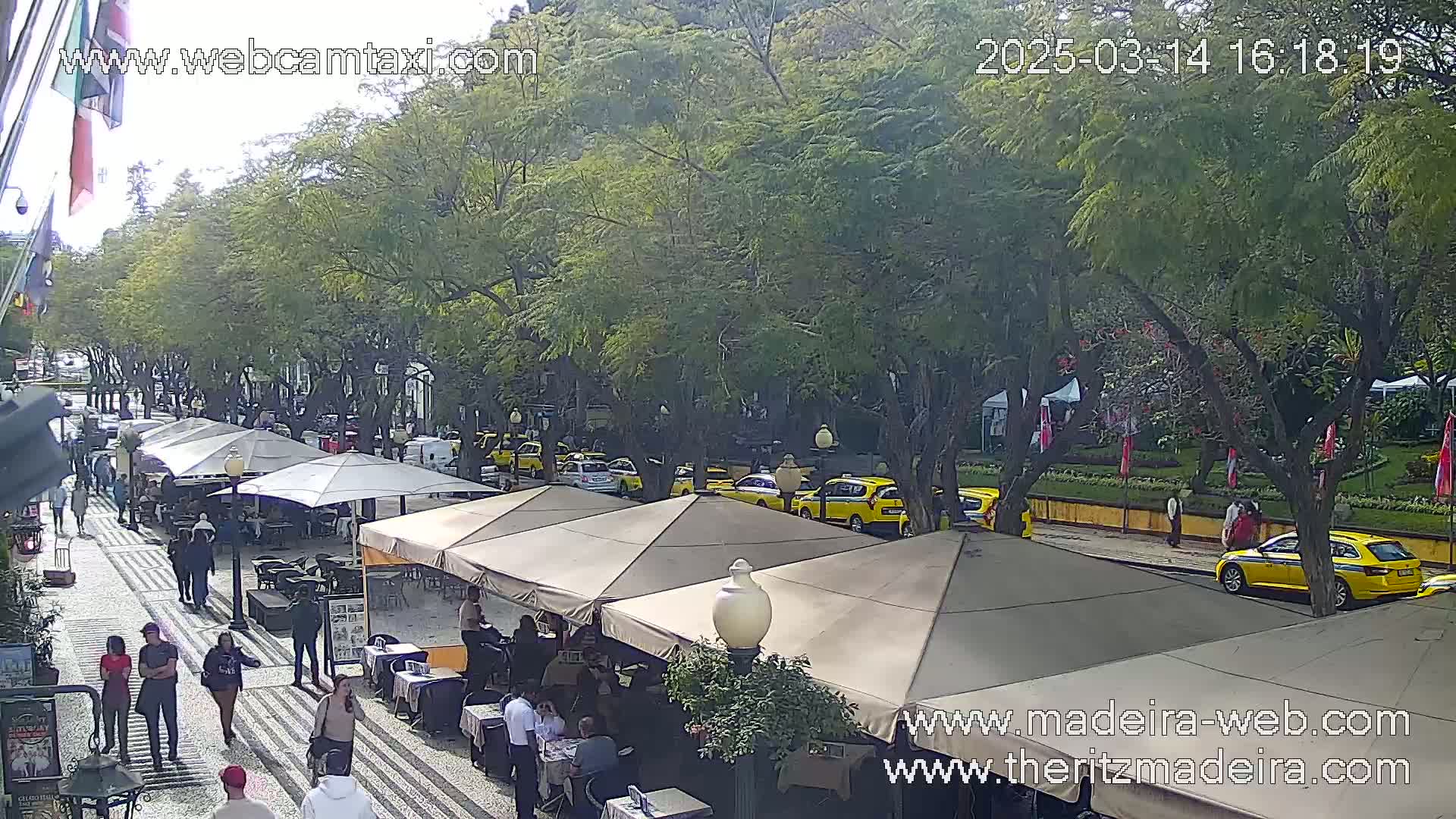 A sunny outdoor scene shows a pedestrian walkway lined with outdoor seating under beige canopies, several yellow taxis parked along the street, and many leafy green trees.