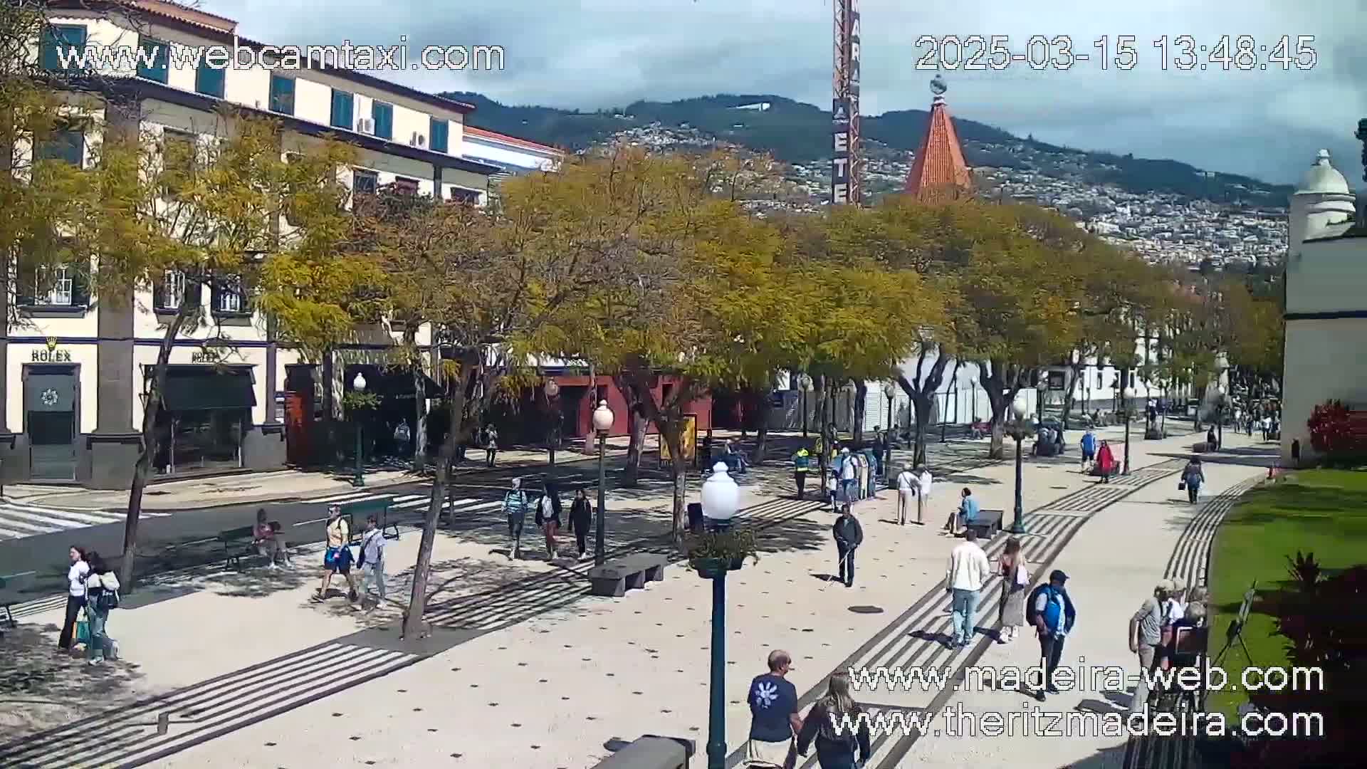 A sunny day shows people walking along a paved pedestrian area lined with trees, past buildings and shops.