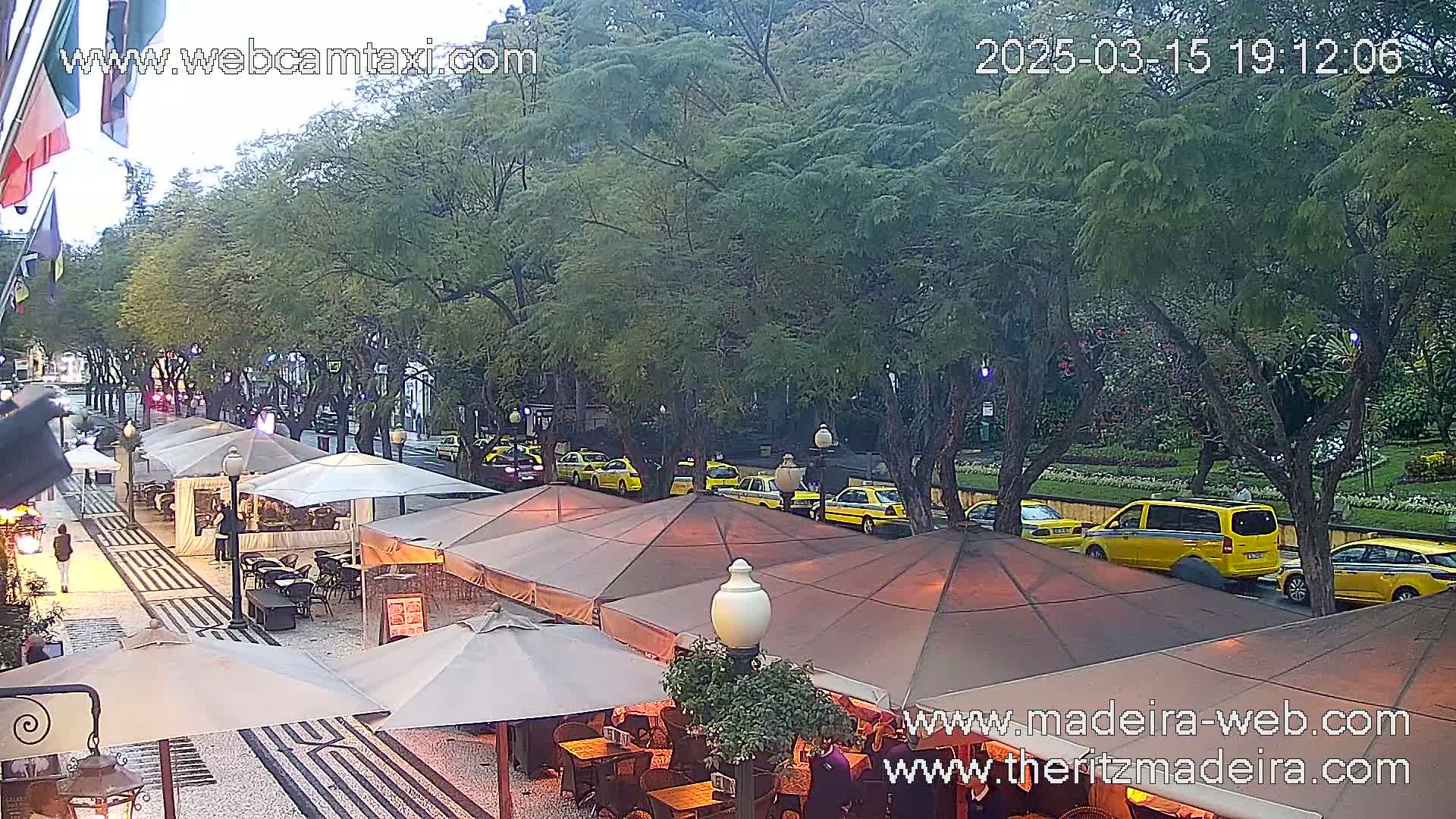 An outdoor cafe scene with numerous yellow taxis parked along a tree-lined street under an overcast sky.