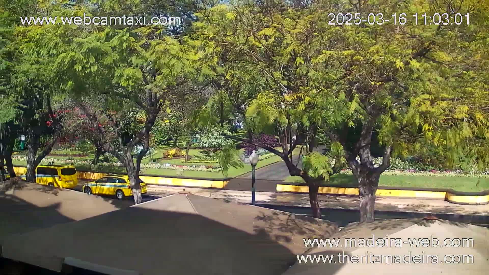 A sunny day reveals a vibrant park scene with two yellow taxis parked near a landscaped area bordered by a low wall, with lush green trees and flowering plants.