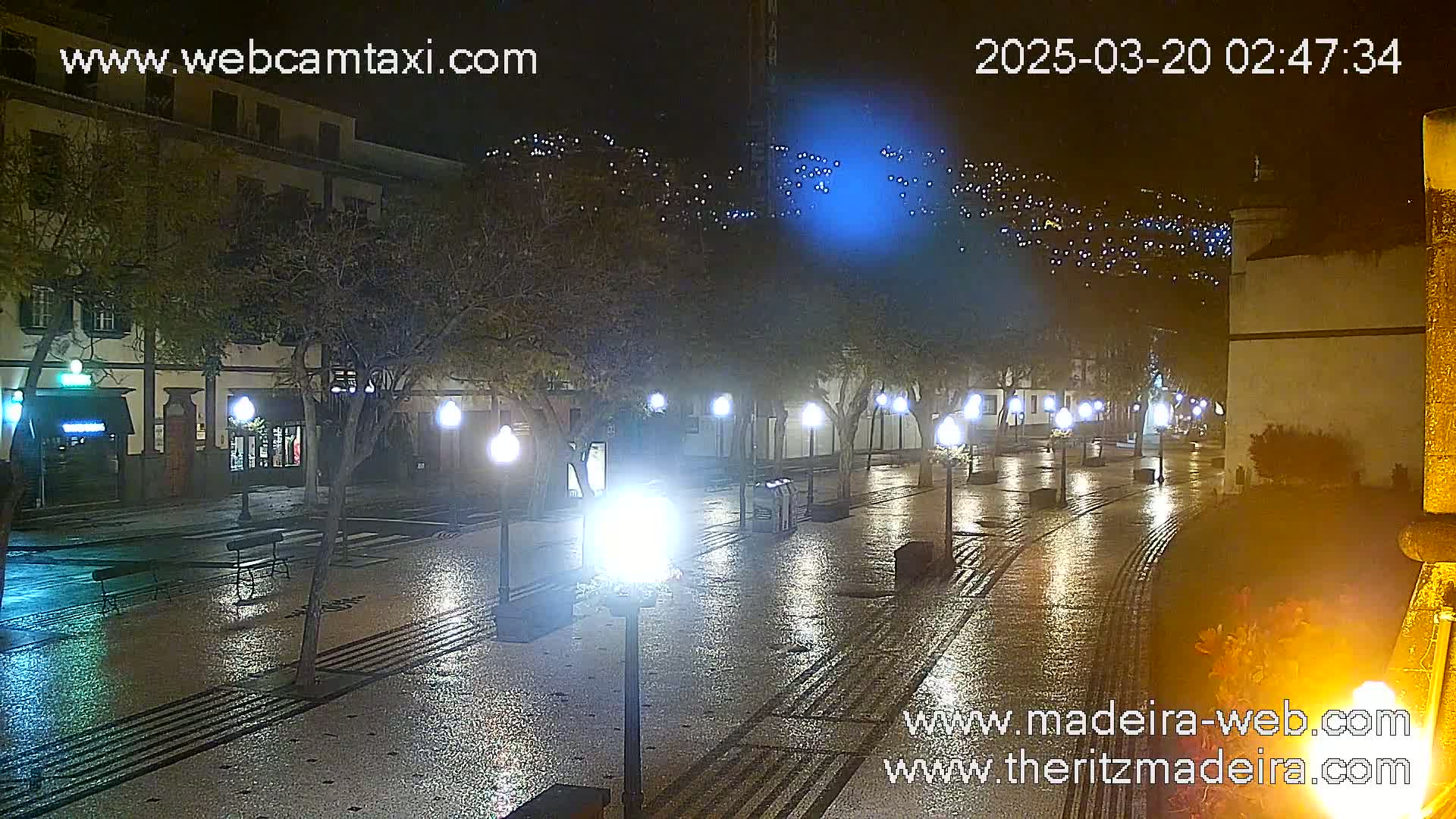 A rain-slicked, cobblestone street at night, lined with trees and lit by streetlamps, leads towards a hill dotted with lights.
