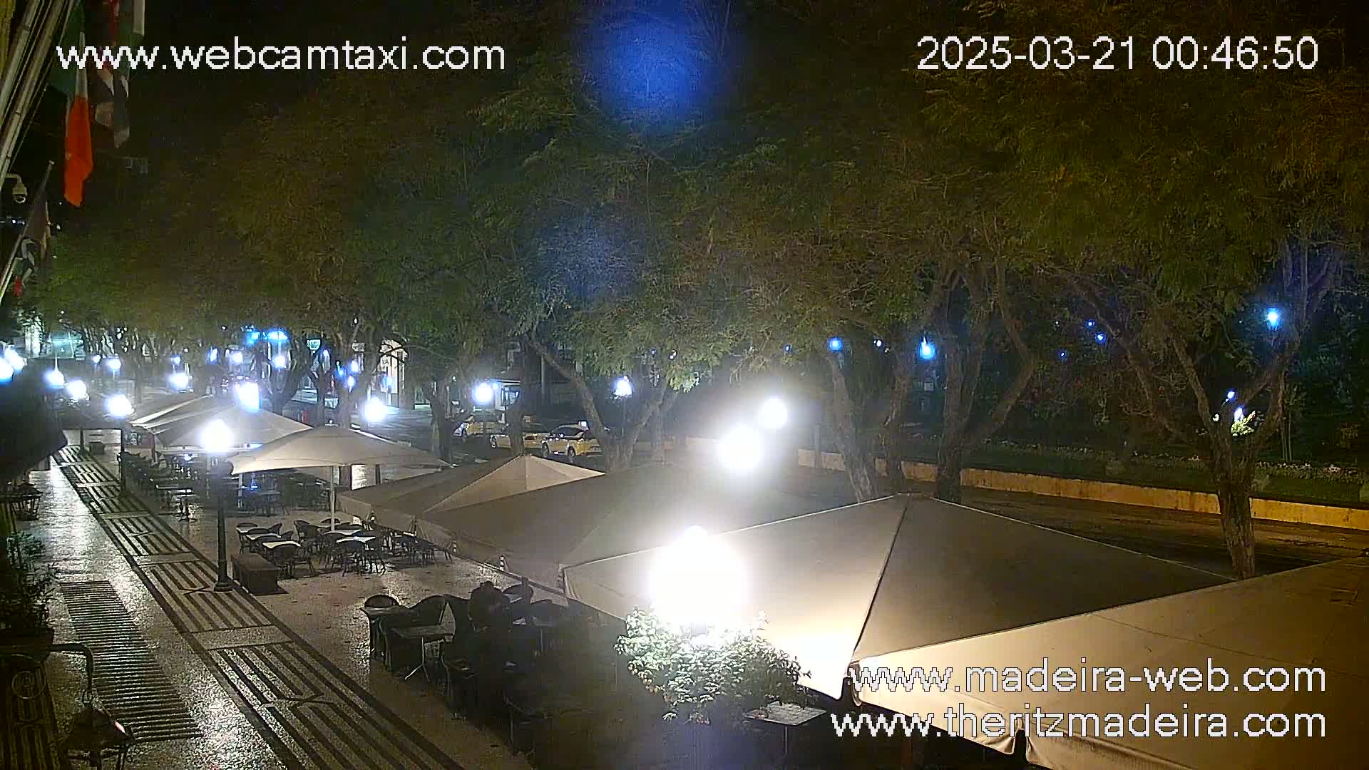 A nighttime street scene shows an outdoor cafe area with several umbrellas and tables under the cover of trees illuminated by streetlights, and a wet street.