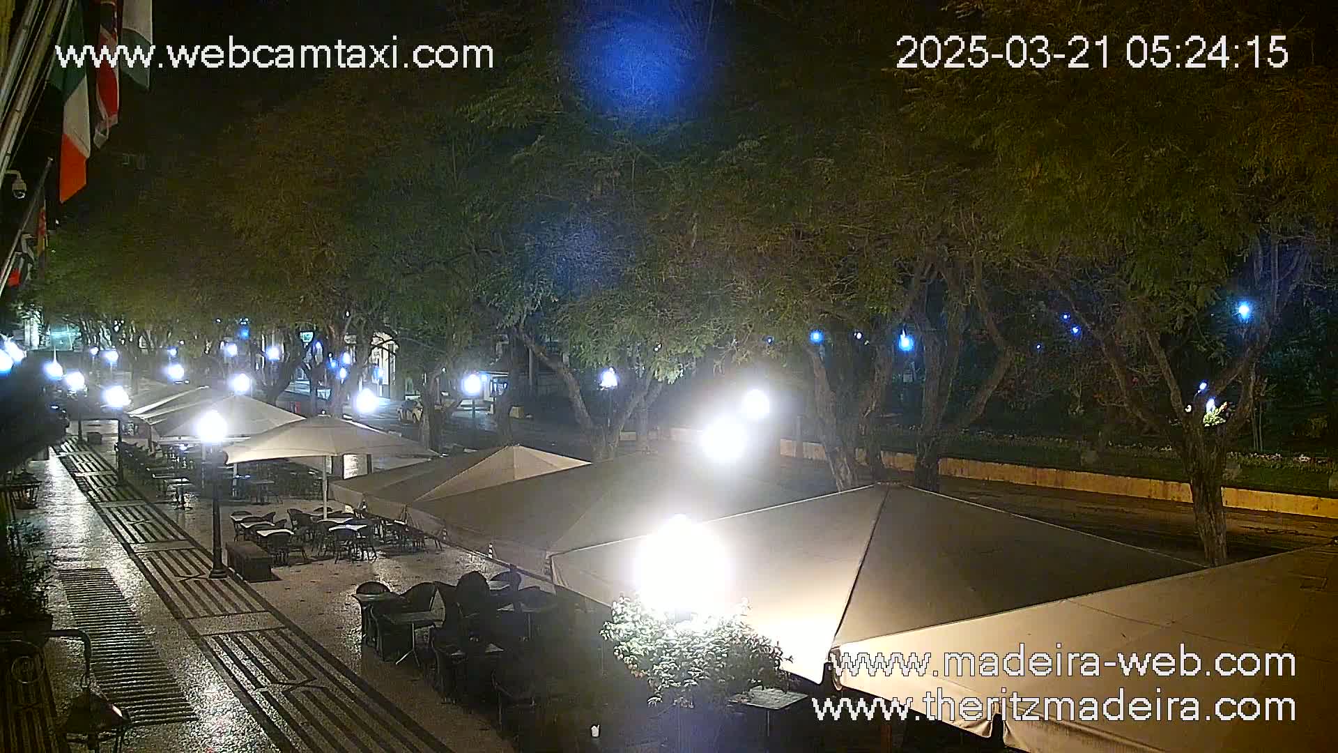 A nighttime view of an outdoor cafe area with several umbrellas and tables under a canopy of trees, lit by lamps and string lights, on a wet pavement.