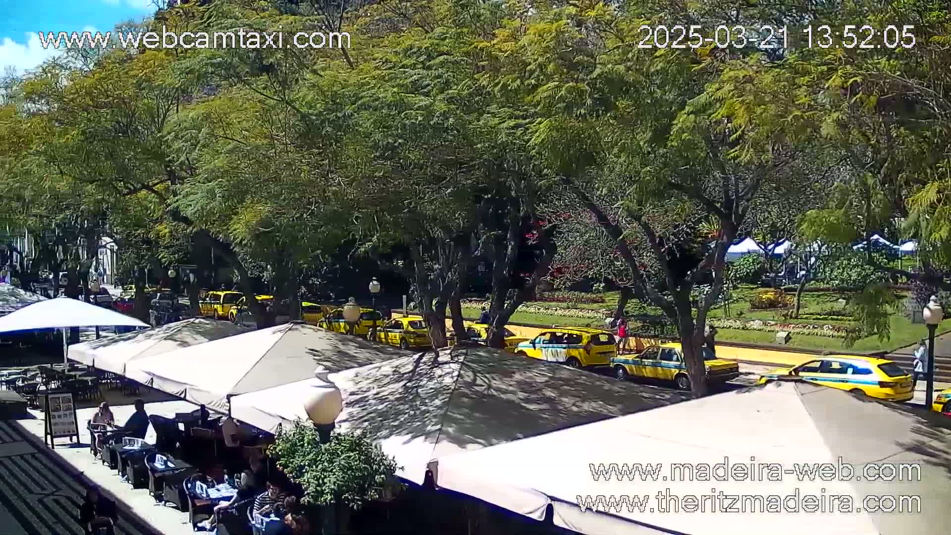 A sunny day shows a line of yellow taxis parked along a tree-lined street next to an outdoor cafe with patrons sitting at tables under umbrellas.