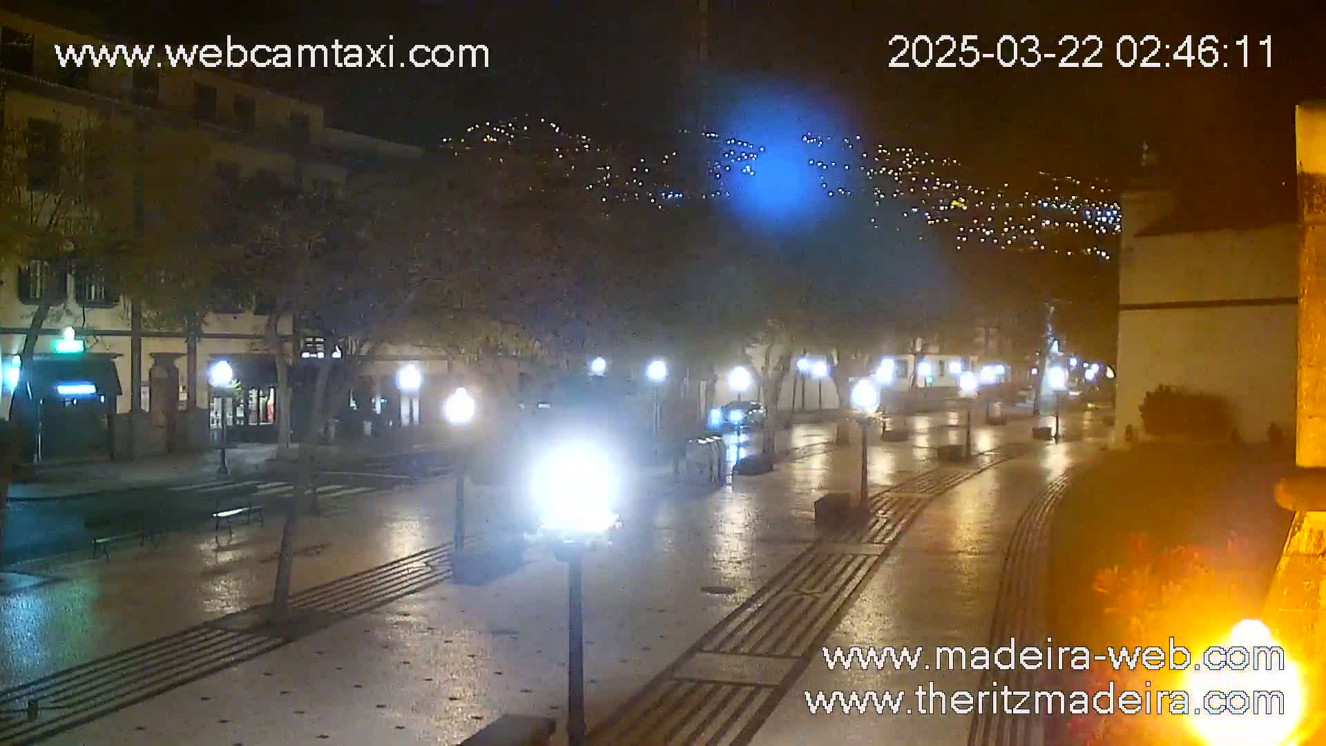 A wet, nighttime street scene shows a row of streetlights illuminating a paved walkway, lined with buildings and trees, and a hill with lights in the background.