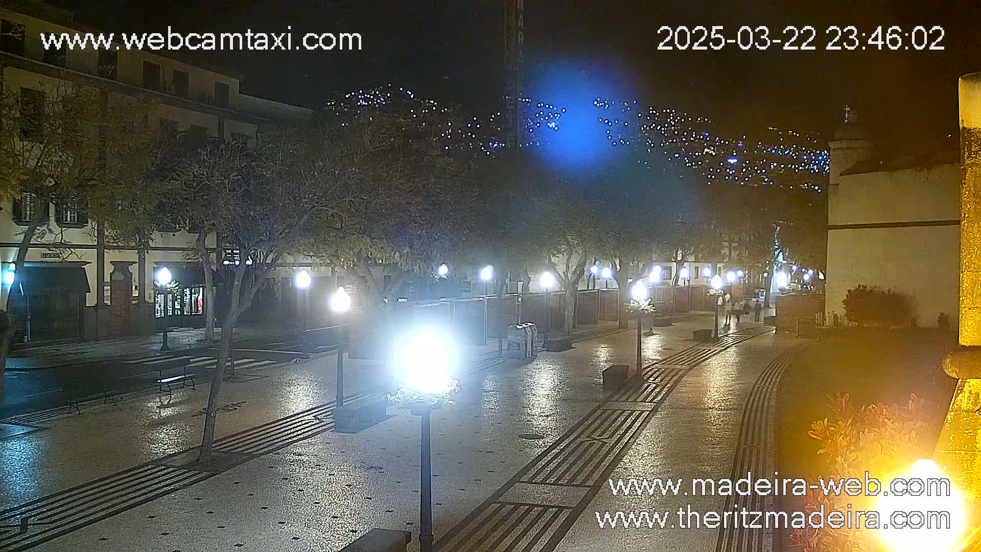 A wet, nighttime street scene shows a paved pedestrian area lined with trees and lampposts, with buildings and distant lights visible in the background.