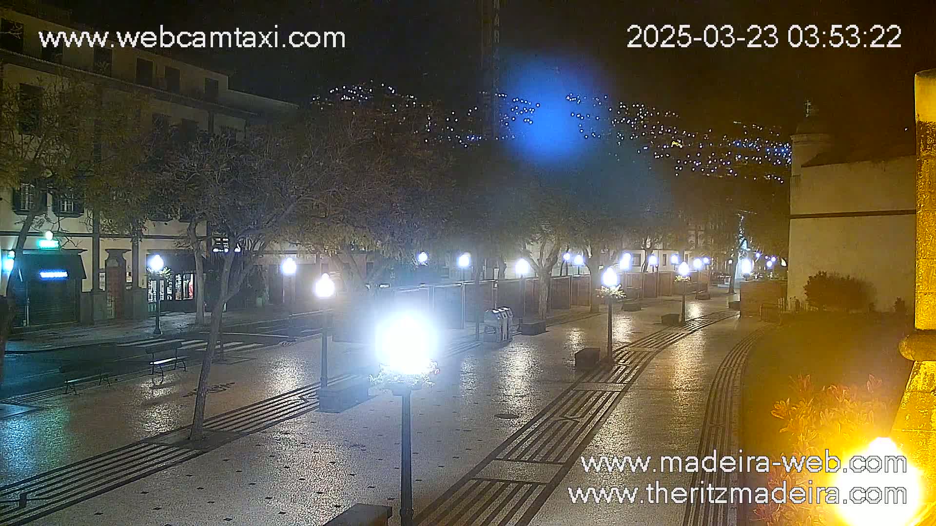 A wet, paved plaza at night is illuminated by lampposts, with buildings and trees lining the street.