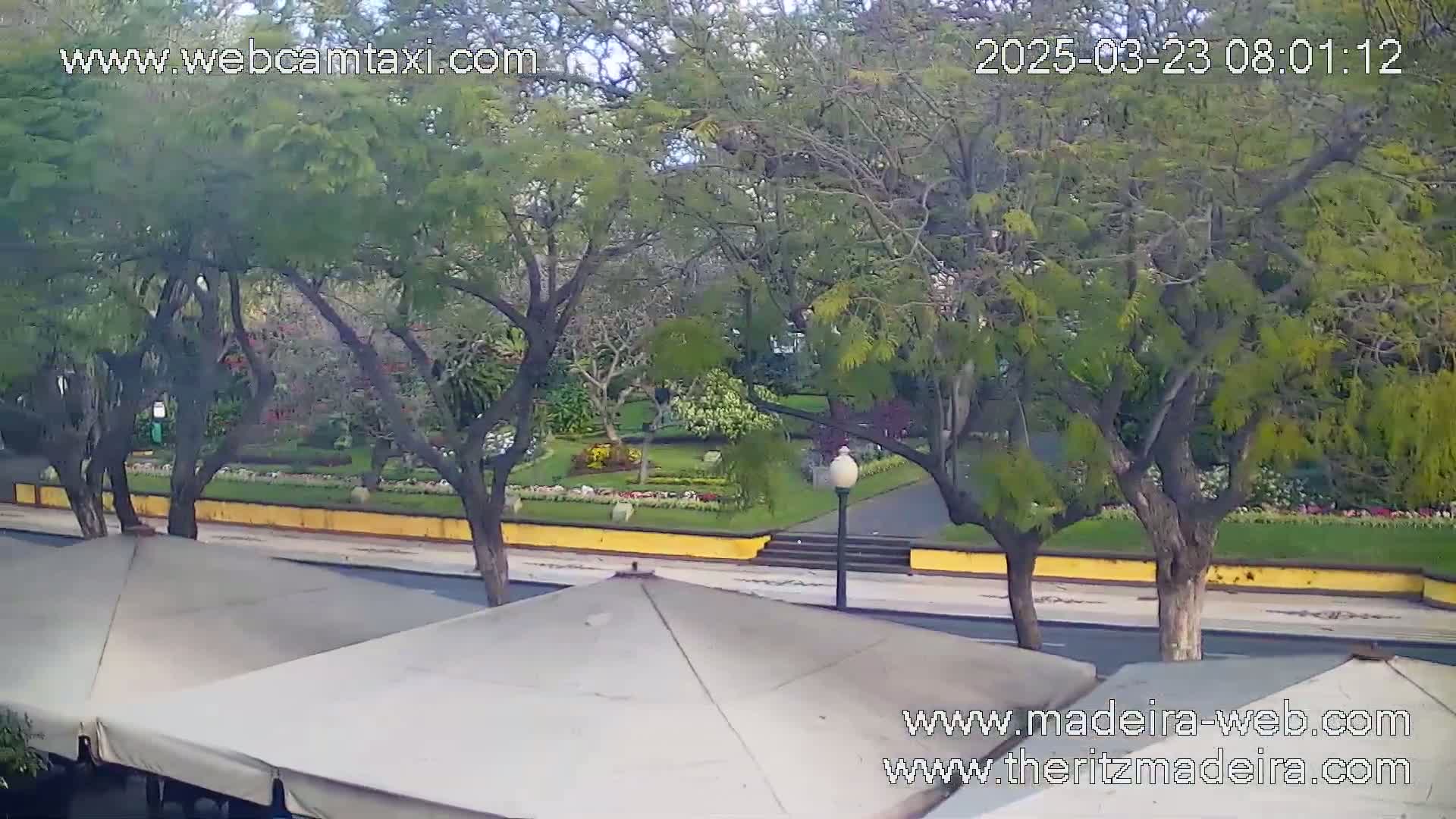 A partly sunny view of a park with flowering plants and trees, seen from above cafe umbrellas on a street.
