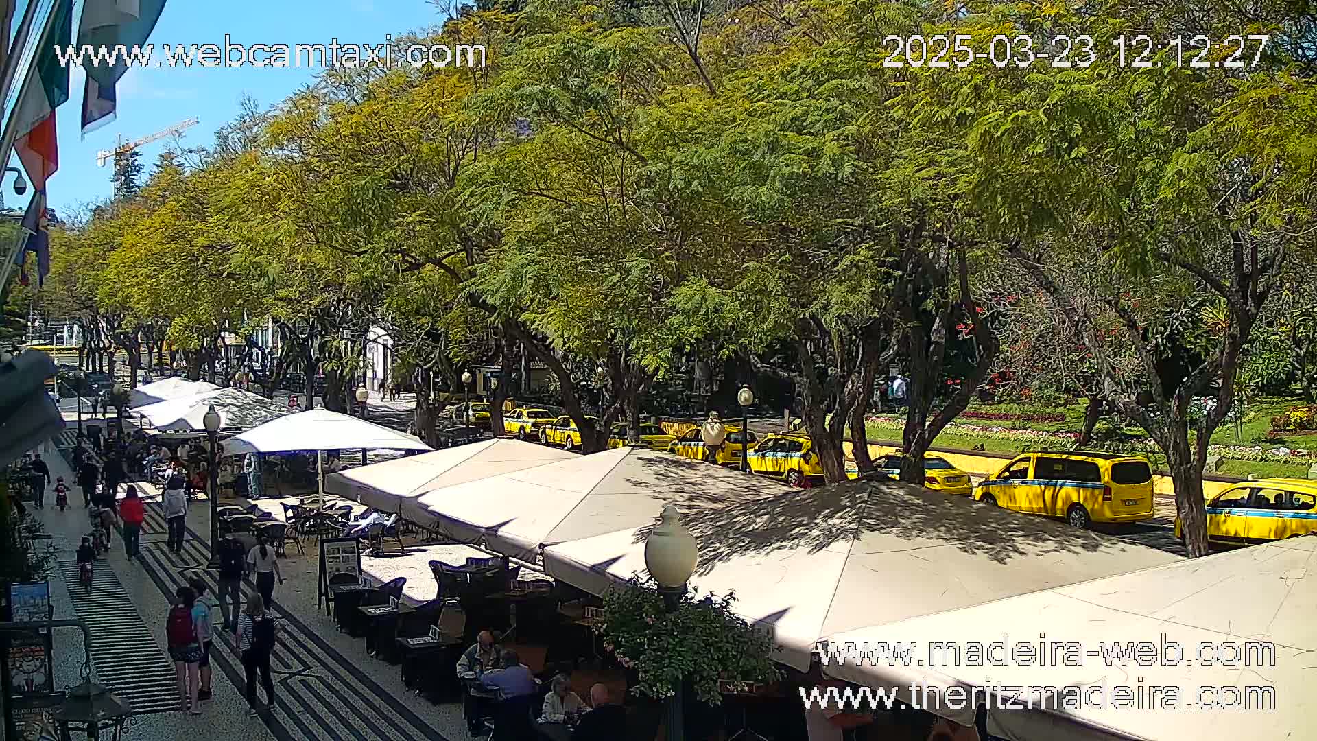 A sunny outdoor scene shows a pedestrian walkway lined with outdoor cafe seating and several yellow taxis parked along a tree-lined street.