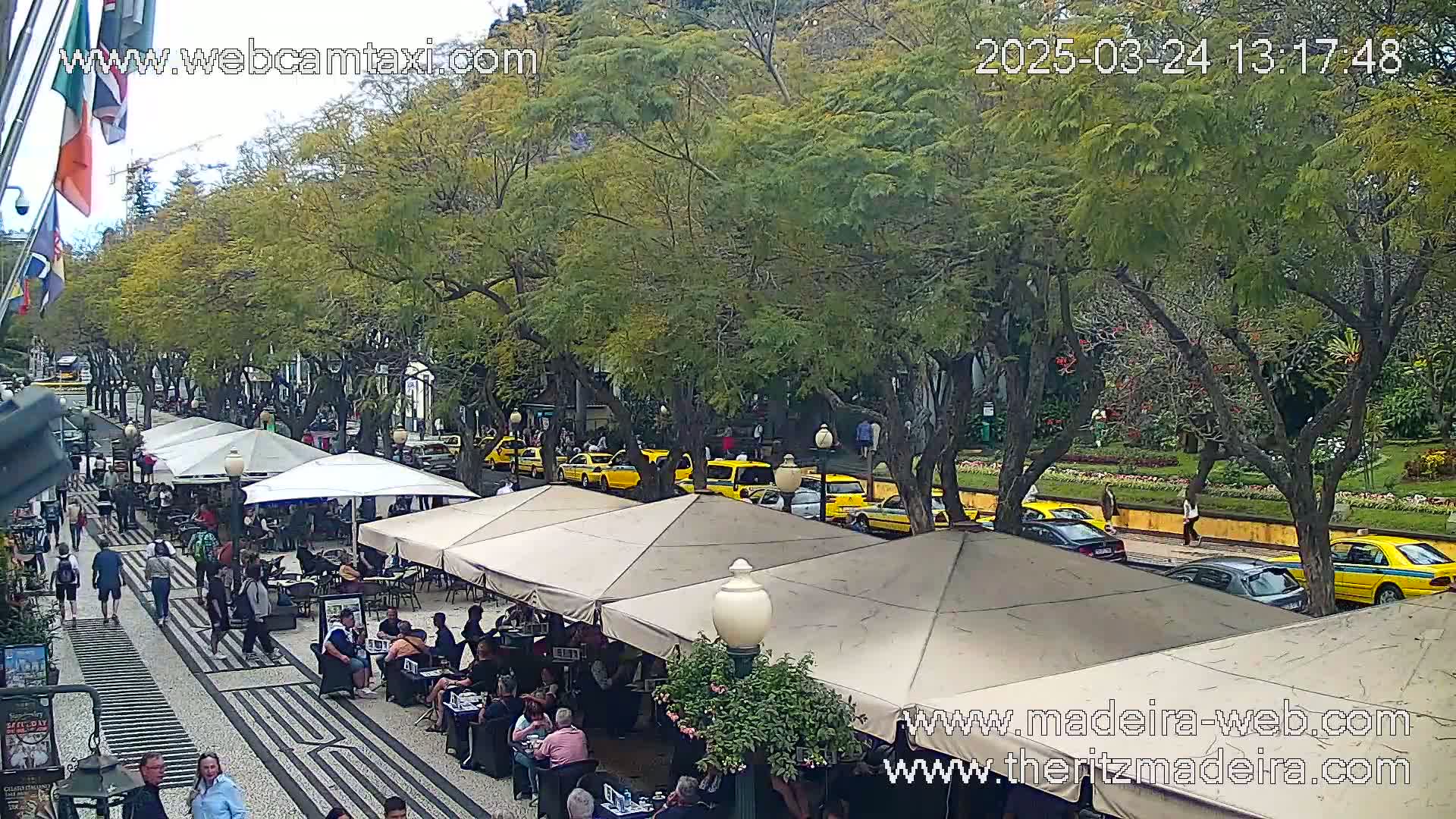 A tree-lined street with outdoor cafes and numerous yellow taxis parked along the curb under a partly cloudy sky.