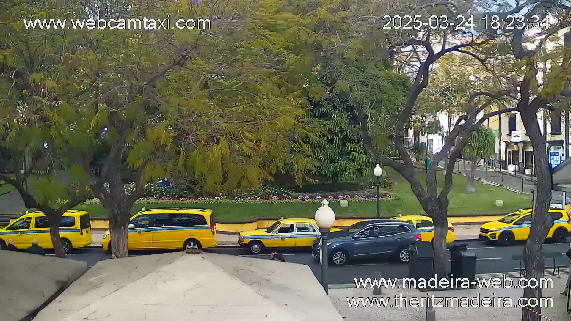 Several yellow taxis and other vehicles are parked in a tree-lined square on a partly cloudy day.