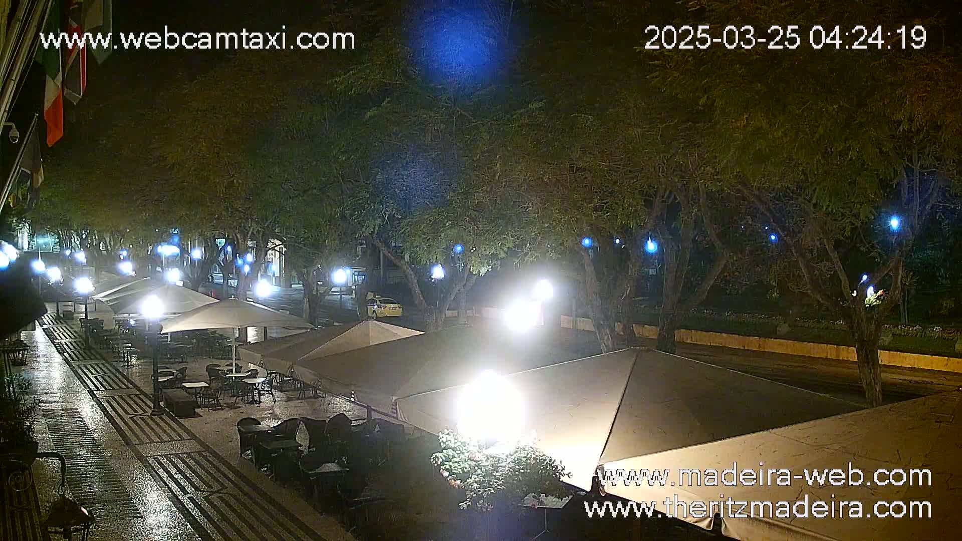 A nighttime view of an outdoor cafe with multiple umbrellas lit up under a canopy of trees, illuminated by streetlights.