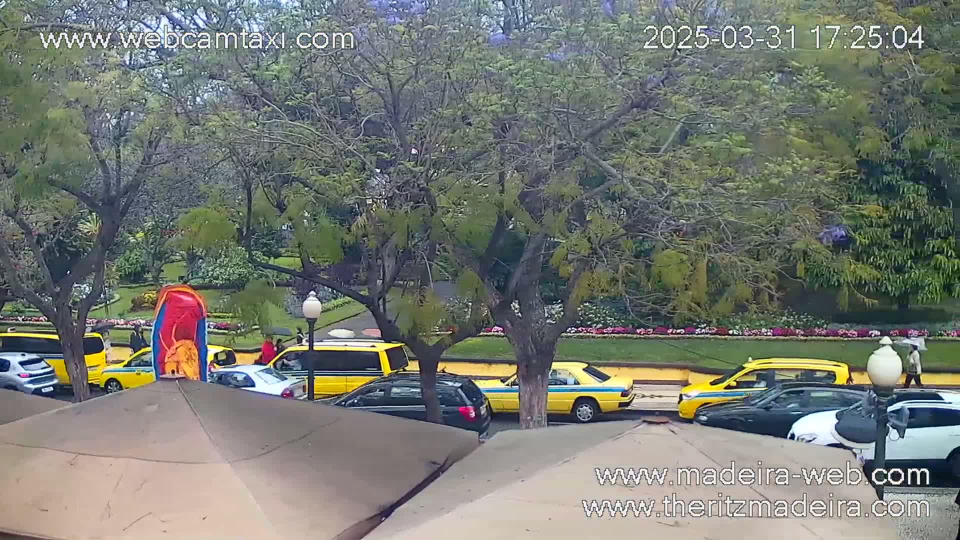 Several yellow taxis and other vehicles are parked or driving along a tree-lined street in overcast weather.