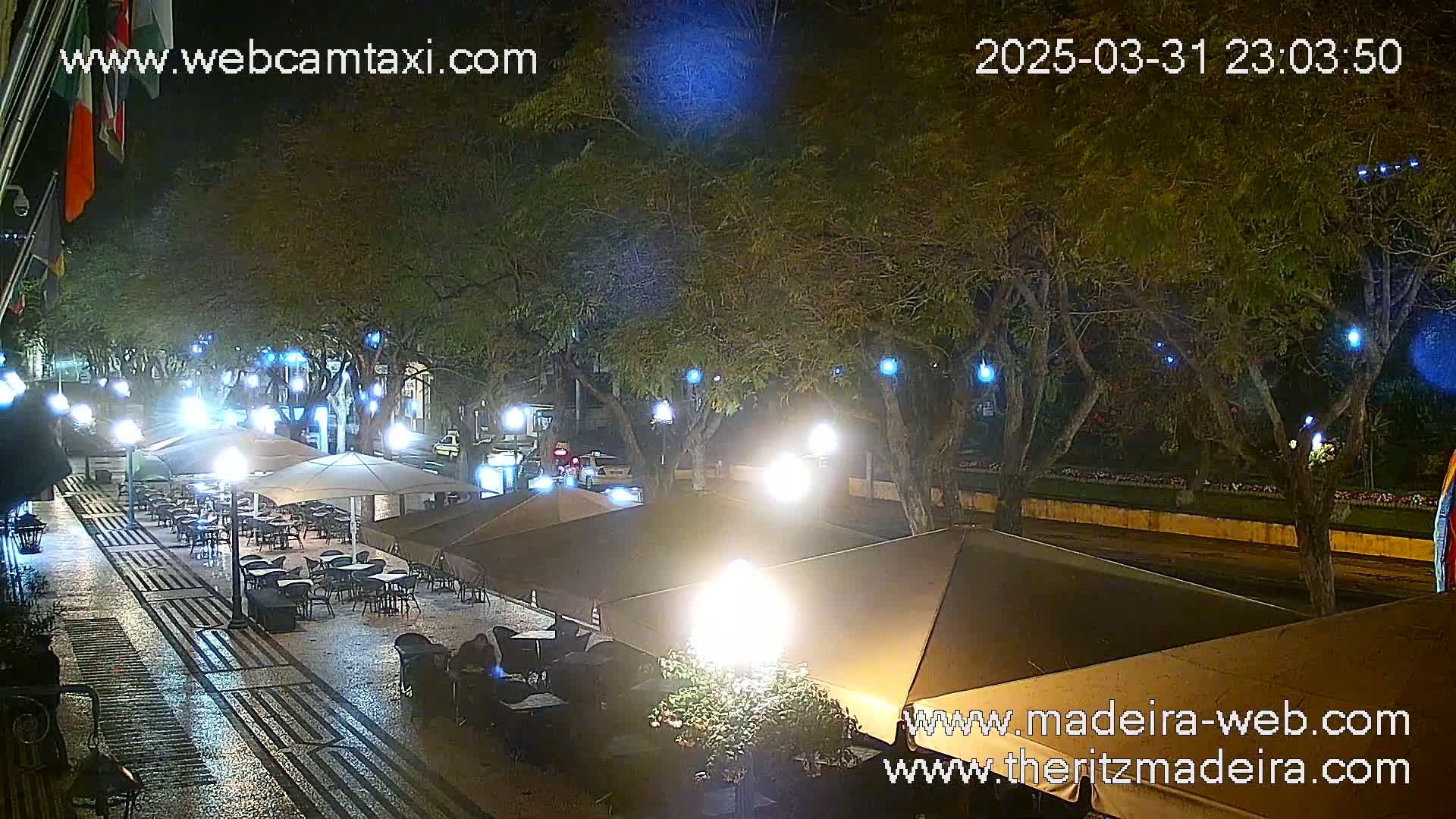 A nighttime view of an outdoor cafe with several umbrellas and tables under leafy trees, lit by overhead lights, and a wet, patterned pavement.