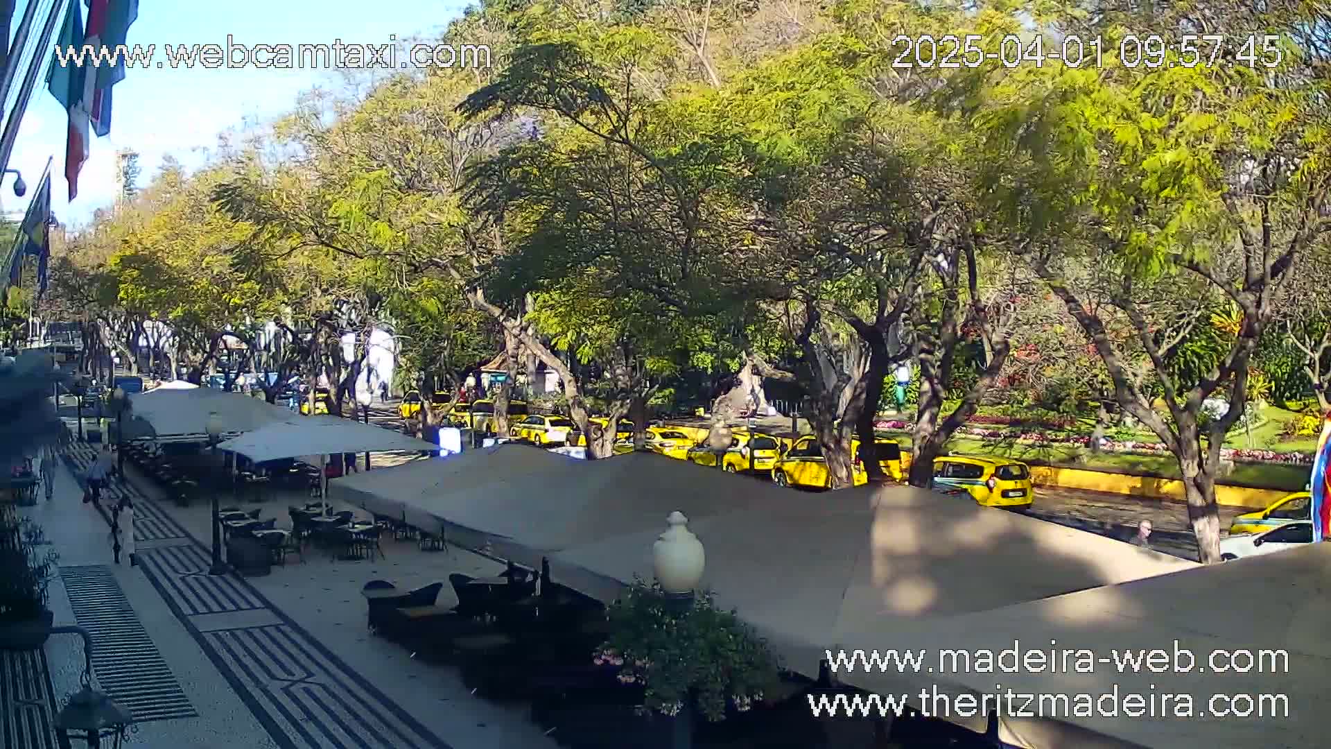 A sunny day shows a paved walkway lined with outdoor café seating, next to a street filled with yellow taxis parked under leafy green trees.