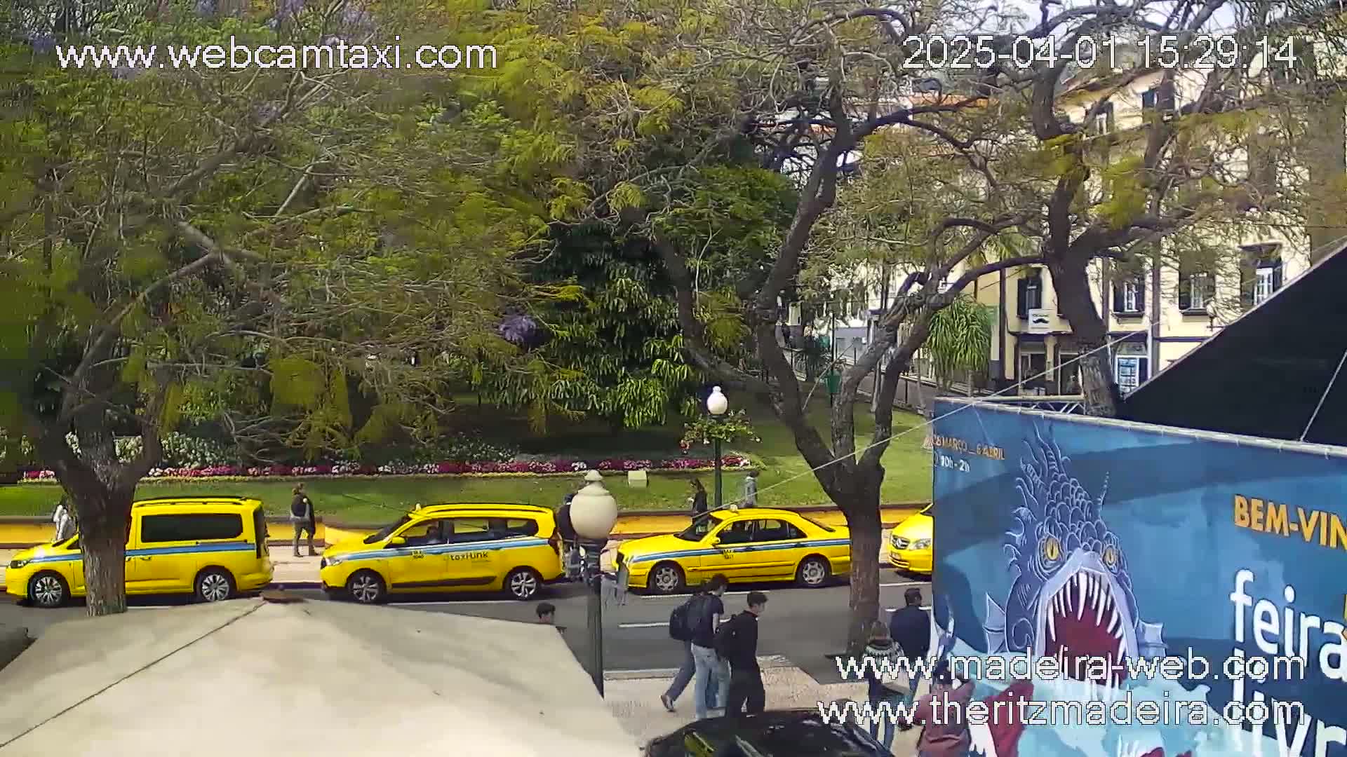 Several yellow taxis are parked near a grassy area with trees and buildings in the background on a partly sunny day.