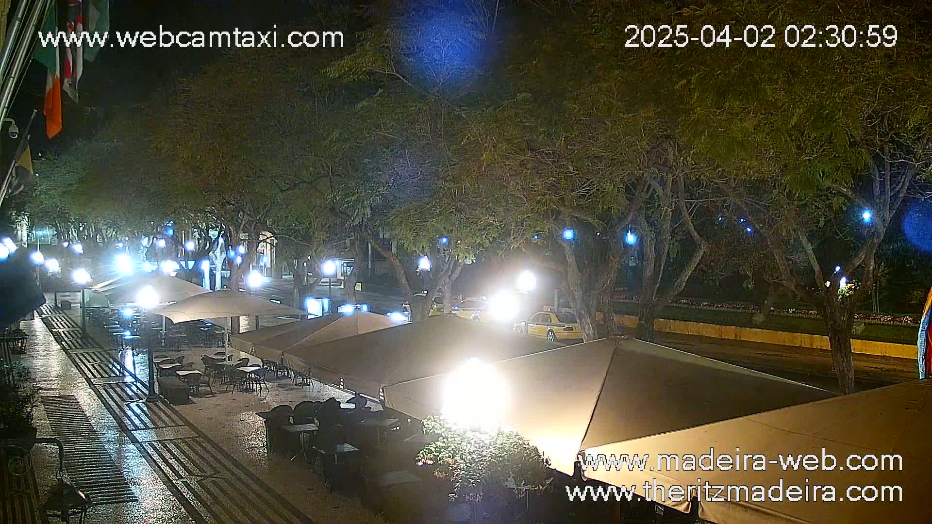 A wet, nighttime street scene shows an outdoor cafe with several umbrellas under leafy trees, illuminated by streetlights and some overhead lights; cars are visible in the distance.