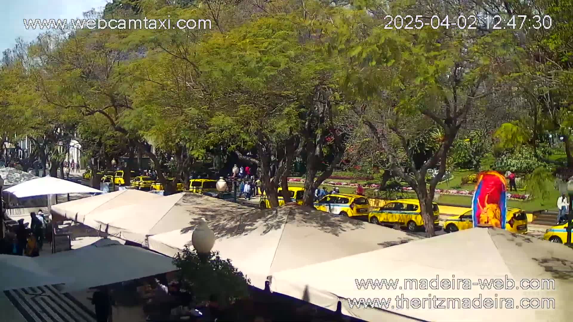 A sunny outdoor scene shows a row of yellow taxis parked near a sidewalk with outdoor cafe seating under beige umbrellas, surrounded by lush green trees and landscaping.