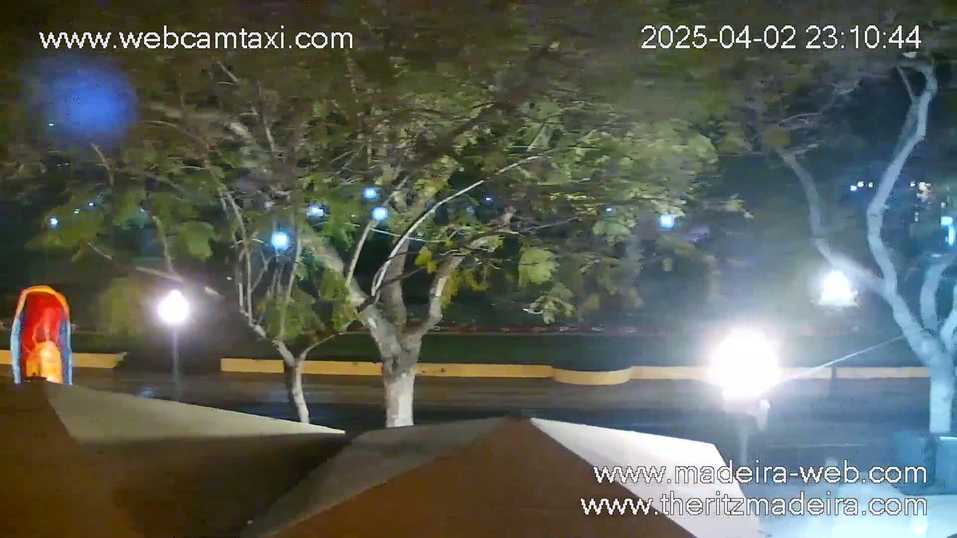 A nighttime view of a street scene showing trees with lights, possibly streetlights, and a portion of a building or structure in the foreground.