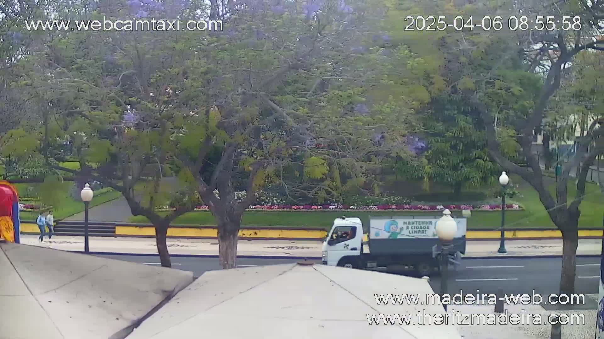 A white truck drives on a street next to a park with flowering trees, under an overcast sky.