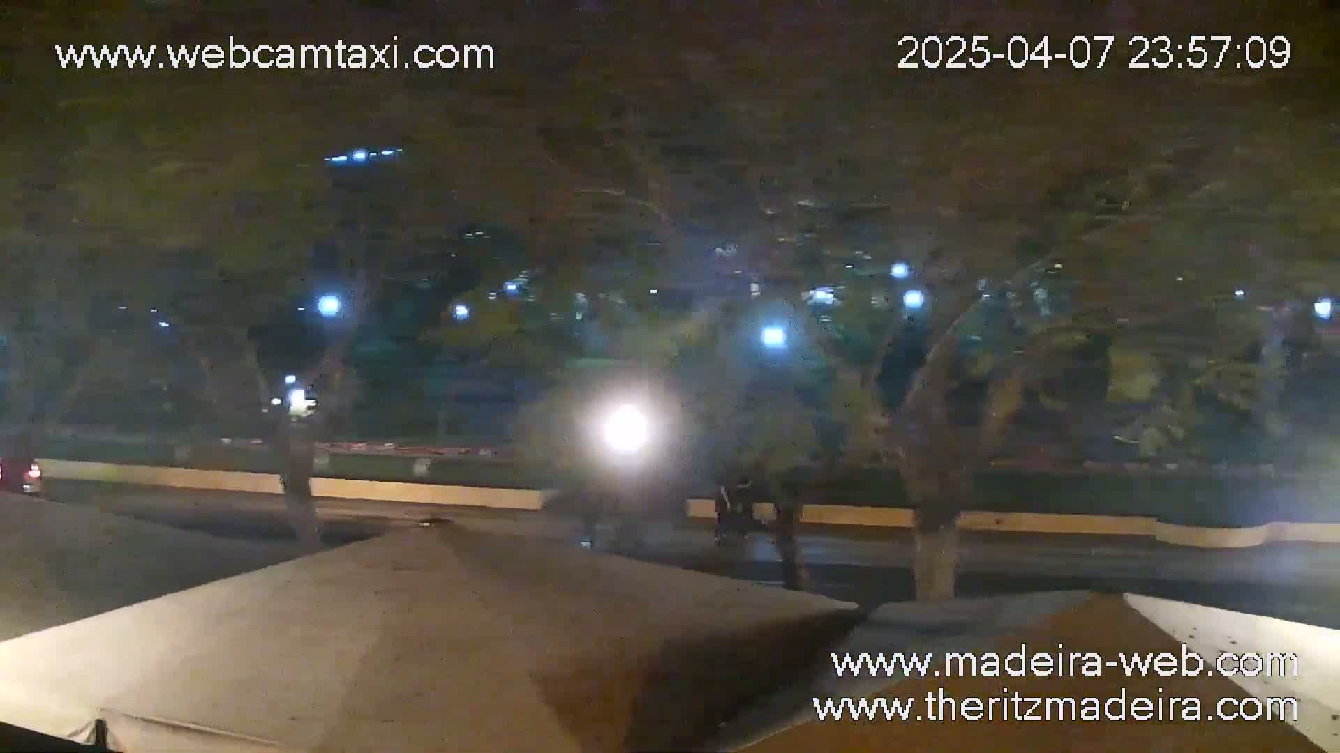 A nighttime street scene shows a few pedestrians and vehicles near trees with lights, under a dark sky.