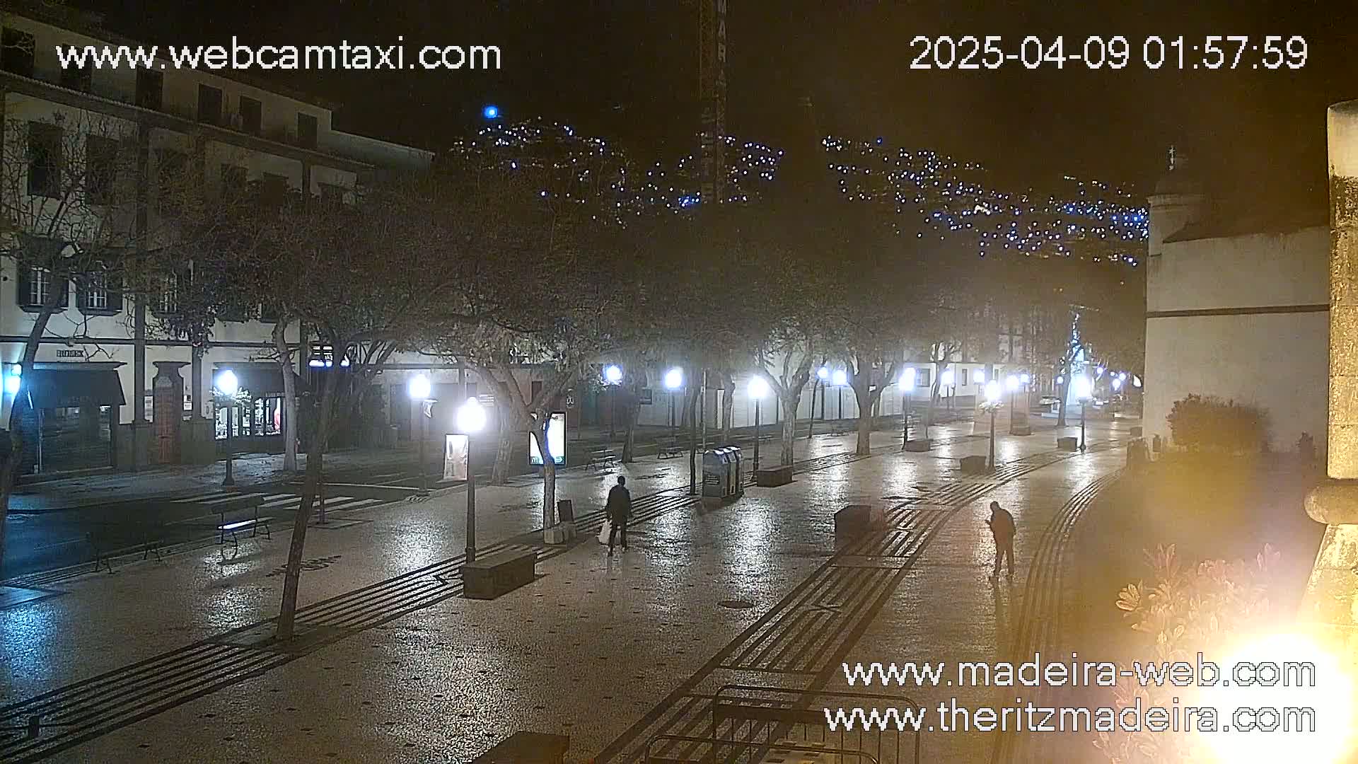 A wet, nighttime street scene shows a paved plaza lined with trees and lampposts, with a few pedestrians visible.
