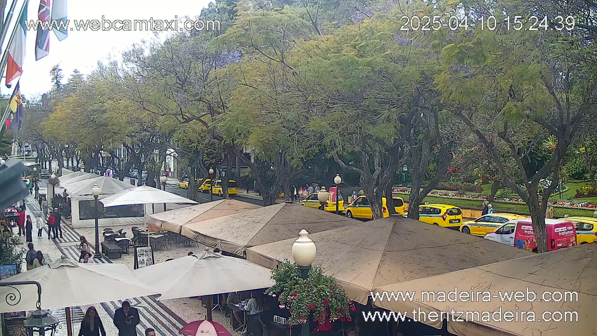 A street scene shows a row of yellow taxis parked along a tree-lined avenue with outdoor cafe seating, under an overcast sky.