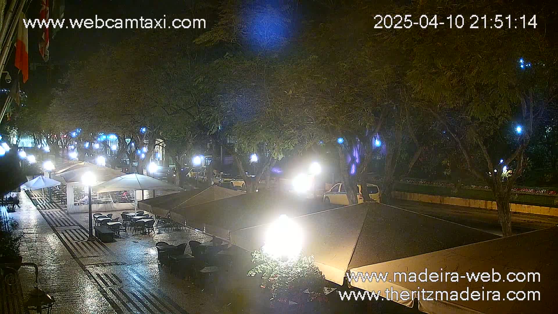 A rain-slicked, nighttime street scene shows outdoor café seating under umbrellas and parked cars, lit by street lamps and overhead lights strung through trees.