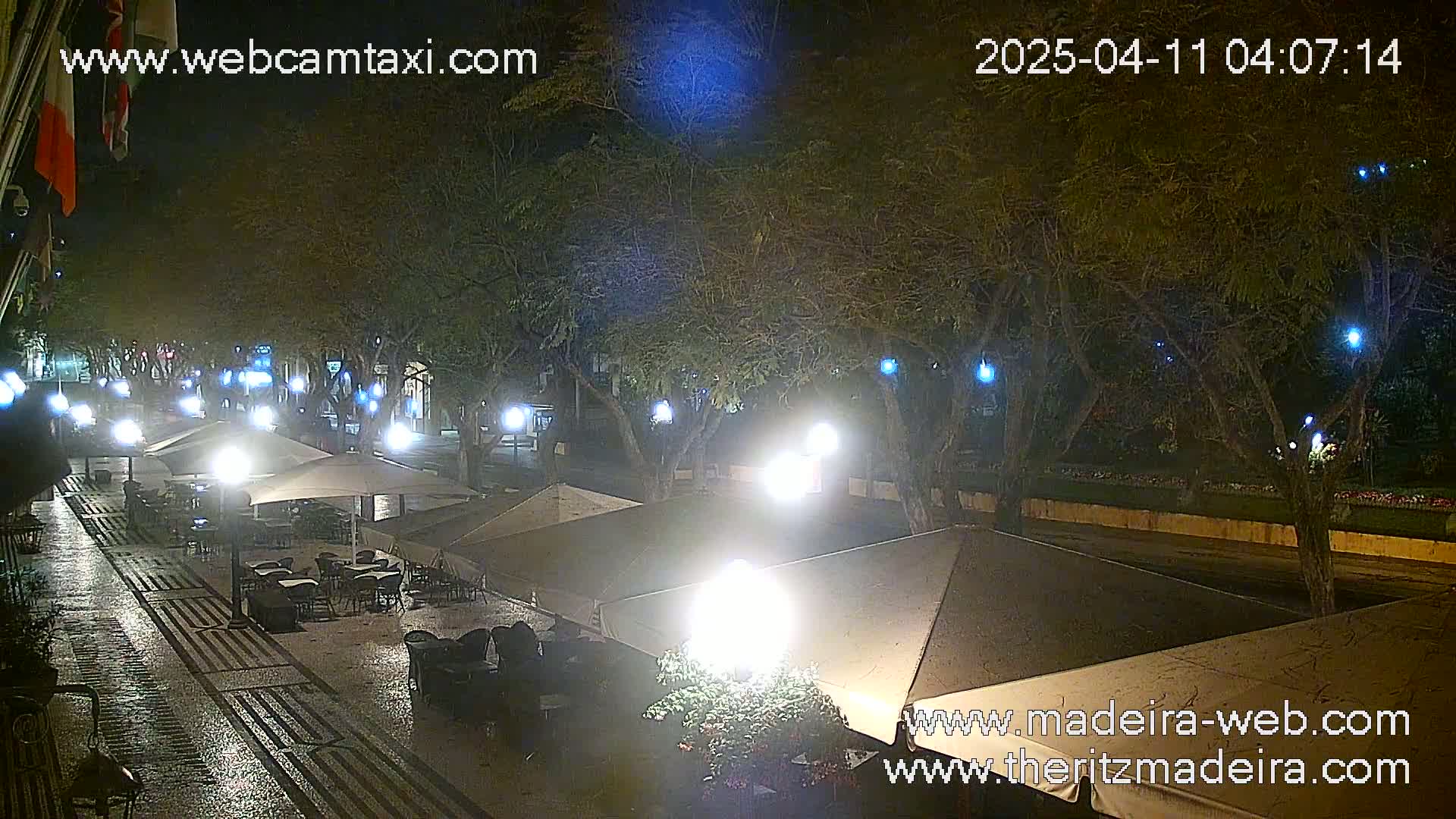 A nighttime view of a wet, paved outdoor area with several cafe umbrellas and tables under illuminated trees.