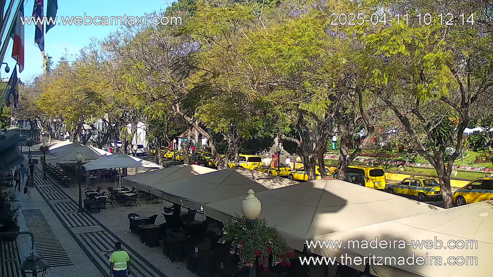 A sunny outdoor cafe scene with several yellow taxis parked along a tree-lined street.