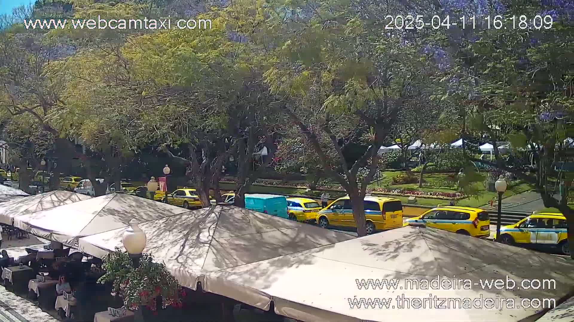 Under a sunny sky, yellow taxis are parked near an outdoor cafe with several covered seating areas.