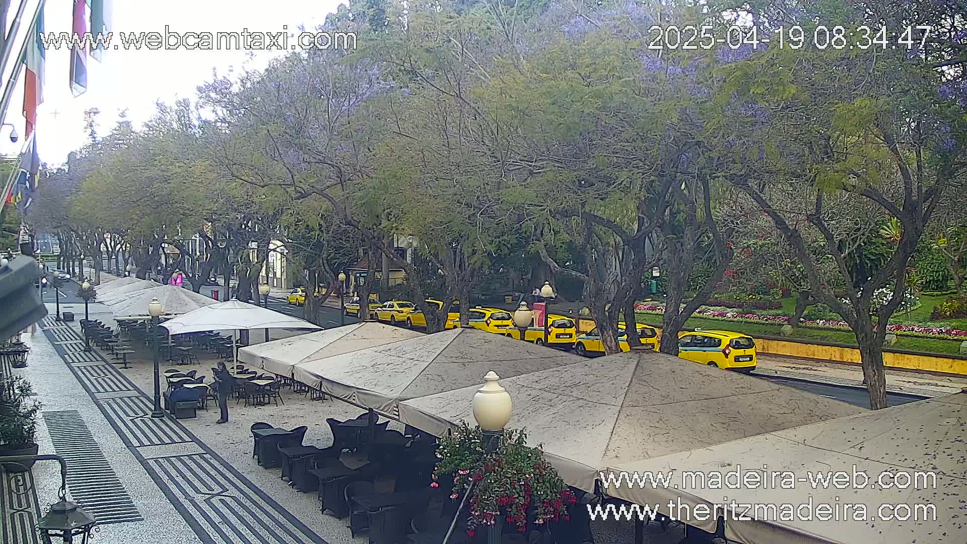 A partly cloudy day reveals an outdoor cafe with several umbrellas and tables, situated along a tree-lined street where a row of yellow taxis are parked.