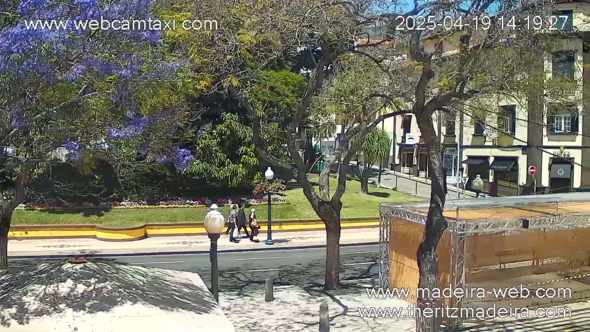 Three people walk along a sunny city street lined with trees, one of which is in full purple bloom, past a park and toward buildings.