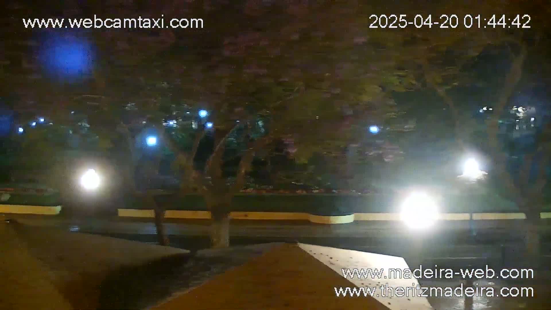 A nighttime, wet street scene is shown, with trees lining the road and lights illuminating the area.