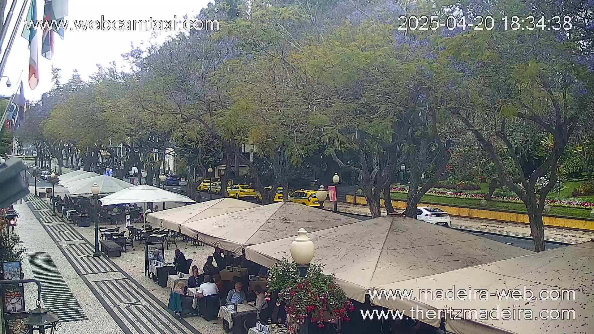 An overcast day reveals an outdoor cafe with patrons seated under beige umbrellas, lined along a paved walkway beside a tree-lined street where several yellow taxis and a white car are parked or driving by.