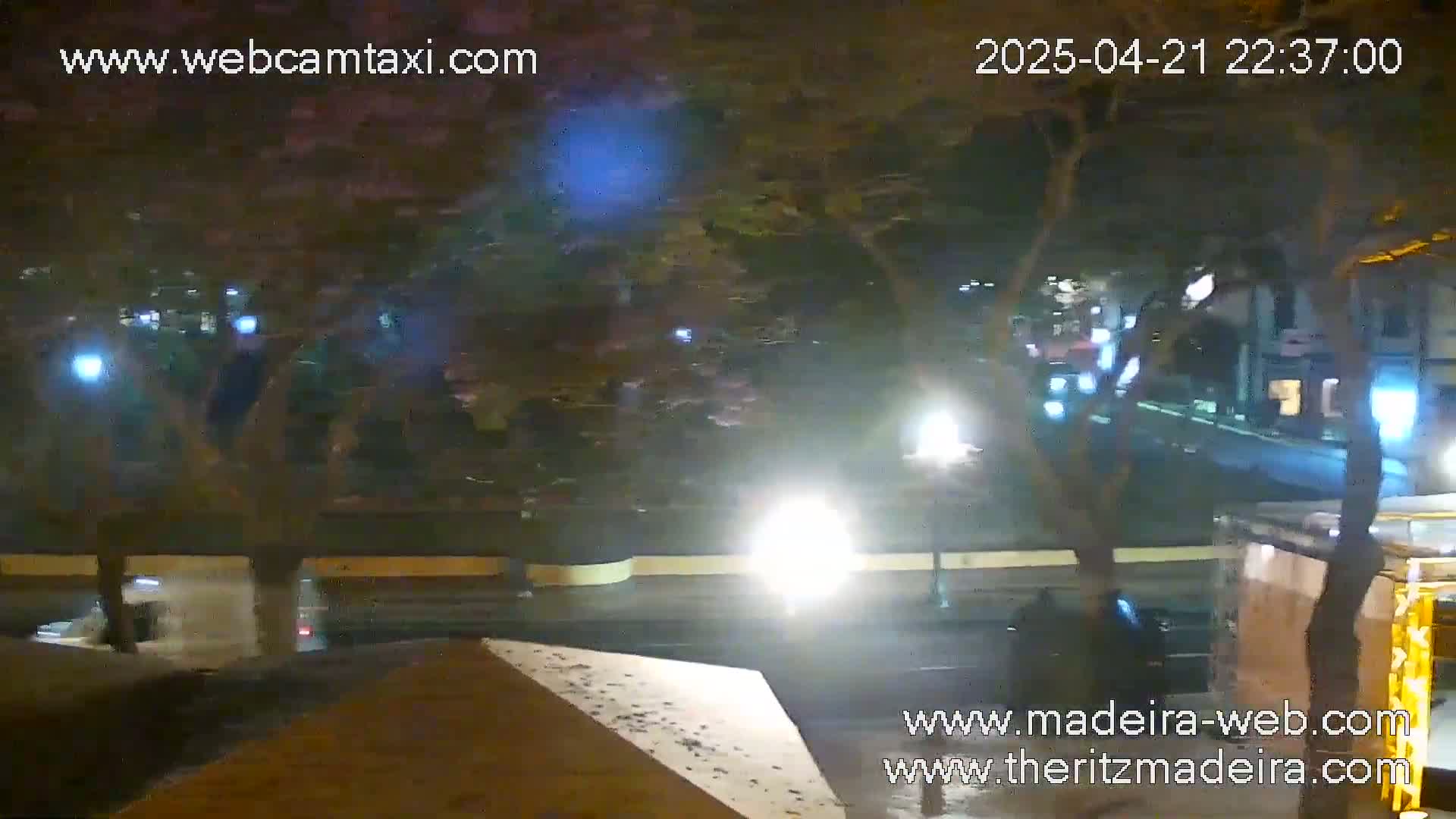 A nighttime, slightly wet street scene shows vehicles driving past trees and buildings under dim streetlights.