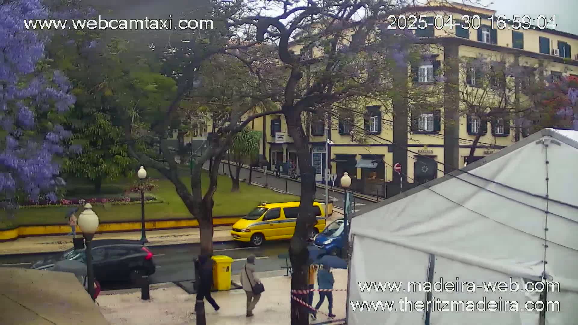 A rainy city street scene shows a yellow van, a dark car, and pedestrians walking past a yellow building and a large white tent, with trees and purple flowering trees in the background.