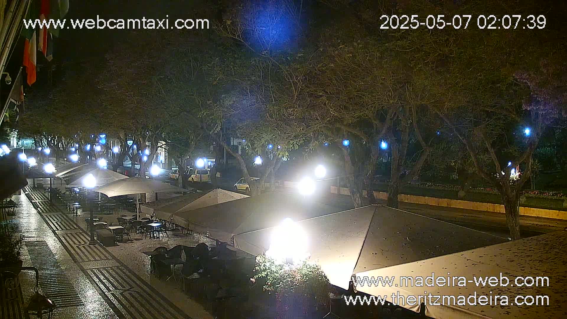 A nighttime view of an outdoor cafe with several tables and umbrellas under the cover of trees, illuminated by streetlights and overhead lights, on a wet paved area.