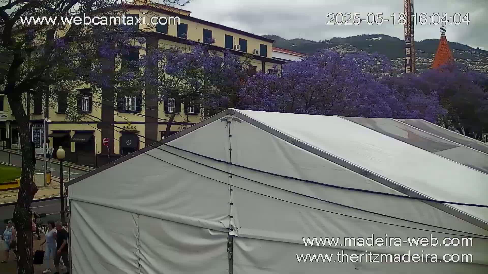 A large white tent is partially visible in the foreground, with a building and purple flowering trees visible in the background under an overcast sky.