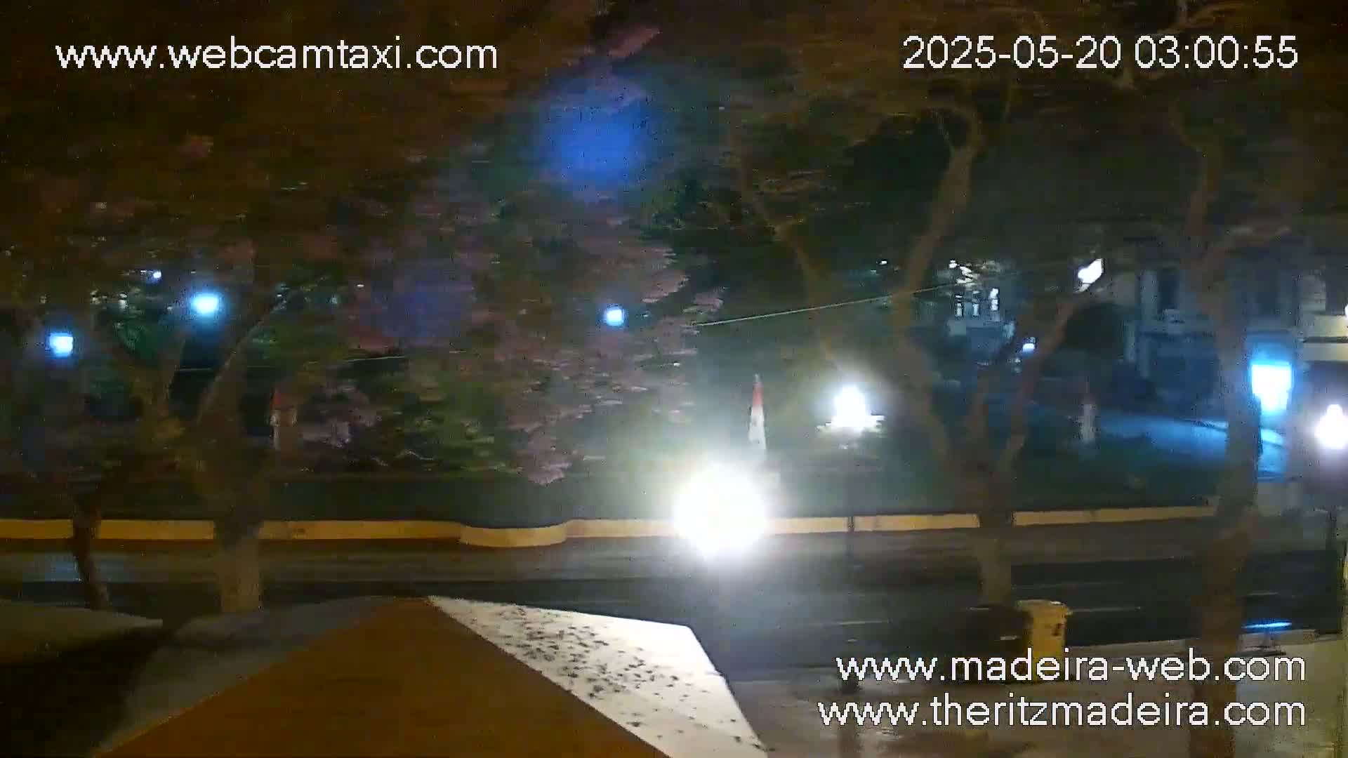 A nighttime street scene shows a road with cars, lined with trees and streetlights, under a clear, dark sky.