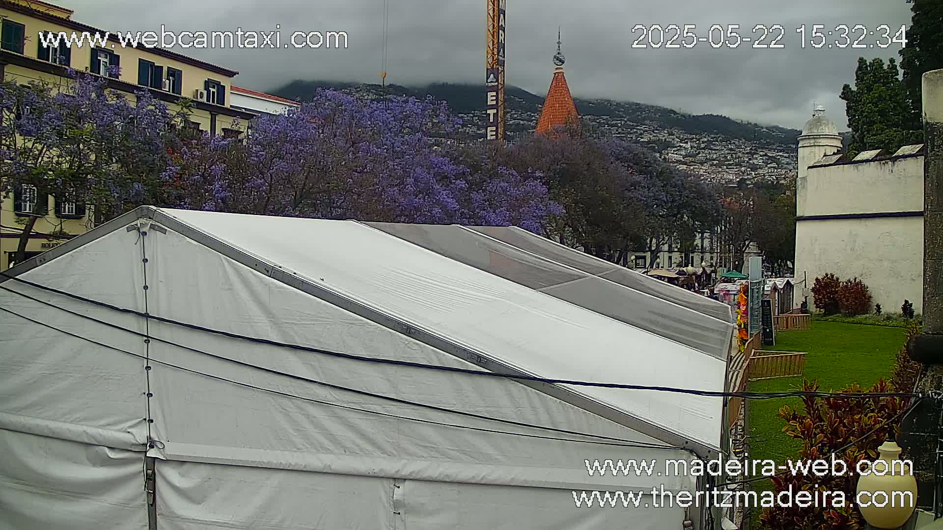 A white tent sits in front of buildings and purple jacaranda trees under an overcast sky.
